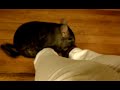 Click here to watch this video Showing me he's boss 2