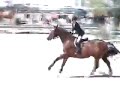Zazou and Littlefoot/RW Mutch Final /WEF, Fl