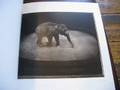 videos de Flicking through Sarah Moon 1,2,3,4,5