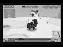 C21動画