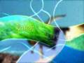 Graphics Ecominuts tv show UTHOLOGIC