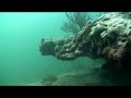 Fort Lauderdale Coral reef