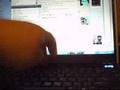 videos de Crazy Bird of Doom