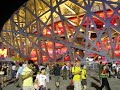 Night at the Bird Nest (3)