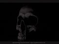 Soilwork - Martyr