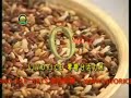 VIVO Sugar Free Rice 15\