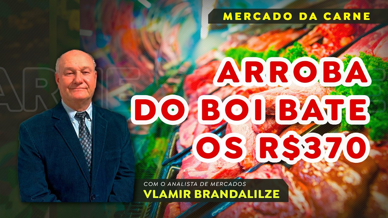 Arroba do boi bate os R$370.