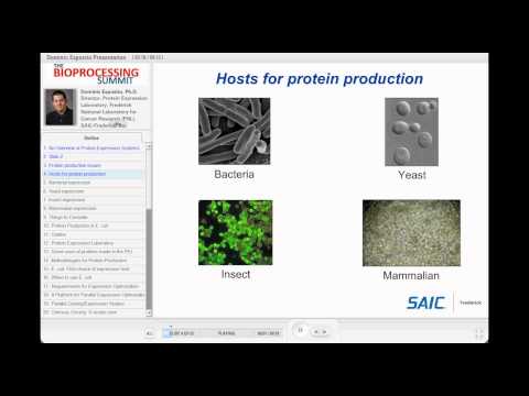 how to harvest protein from a e. coli