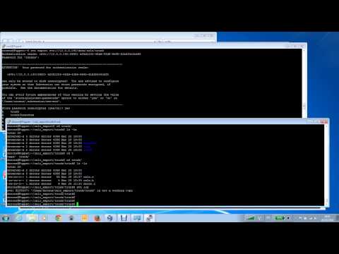 how to remove svn lock
