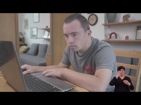動画