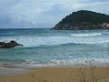 la fosca palamós en plena rabia 3
