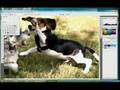 videos de How to add contrast and sharpen XSi raw files