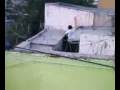 videos de lerma brincando hacia una casa 2