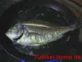 Fisch