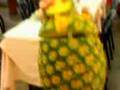 ananas cantante
