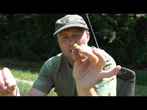 Black Country Carpers at Laroussi, Sep 2013 Black Country Carpers at Laroussi, Sep 2013
