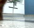 videos de Teste Oral Acbeu