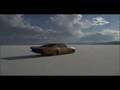 Rad Rides Blown Away promo