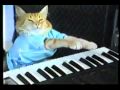 Play her off, Keyboard Cat!