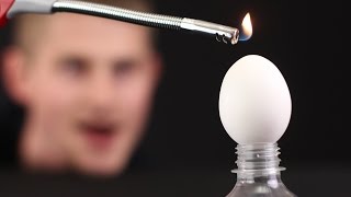Top 10 Egg tricks and science experiments from mr 