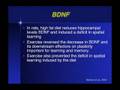 SIRA:  Exercise and Cognition