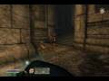 Let's play TES4 oblivion as Mage - The Shivering Isle 04