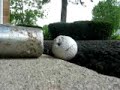 exploding golf ball exploding golf ball