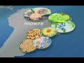 Biodiesel no Jornal Nacional