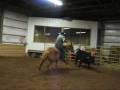 Working Cows2 Working Cows2