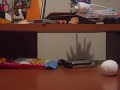 Claymation Test