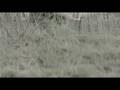 videos de children_of_bodom-blooddrunk-x264-2008-mv.mkv