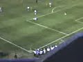 TIGRES TIGRES