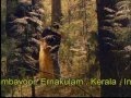 madnolsavam ee malarkanykal