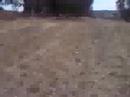 hemet cam 3 hemet cam 3