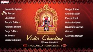 Vedic Chanting  S Rajagopalsharma  Sanskrit Devoti