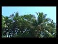 The quite side of Arambol