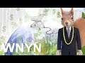 Penny Stock Picks of the Week
