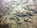 beceite parrizal cerca del plano detalle río matarraña