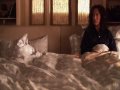 The L Word - Tibette Love Story Endless Dream