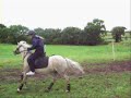 Jumping Jumping