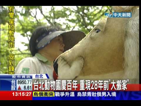 中天新聞》台北動物園慶百年 重現28年前「大搬家」