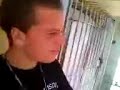 O meu Pintinho 