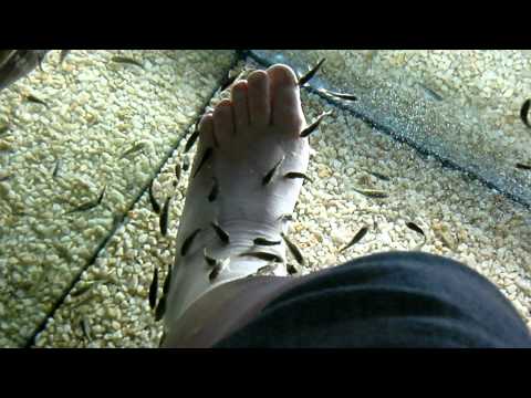 Image de prévisualisation YouTube