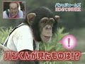 Un Impresionante Mono Agricultor - 2 Parte