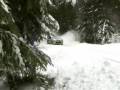 WRC-Sweden-2006