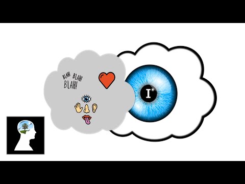 Tsur Taub Video: Who Am I? – A Step by Step Inquiry