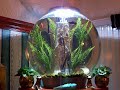 BIORB 30 LITRE FISH TANK BIORB 30 LITRE FISH TANK