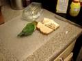 videos de Tesla and the Sandwich
