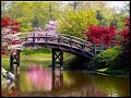 Vivaldi – Four Seasons - Spring