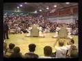 TAGB Brian Towndrow Breaking World Record